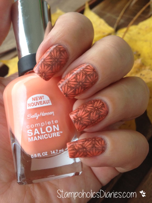 Sally Hansen Tahitian Sunset & Dashica Big SdP-O