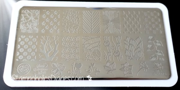 Born Pretty Stamping Plate BPL-015