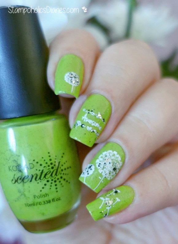 Konad Kiwi Stamping Pusteblume MoYou ProCollection